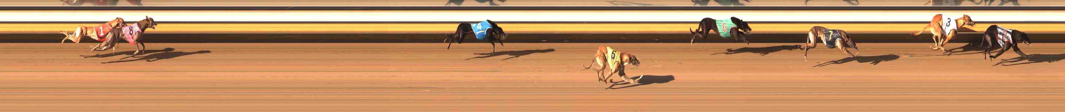 Race result finish photo