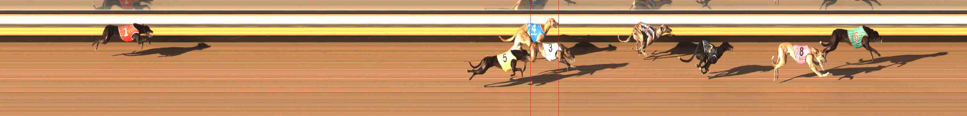 Photo finish for Warrnambool Race 2