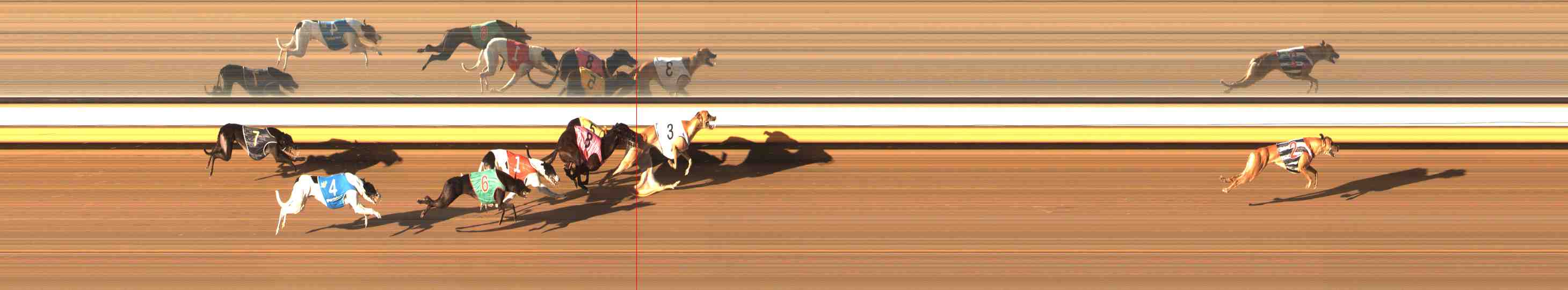 Photo finish for Warrnambool Race 3