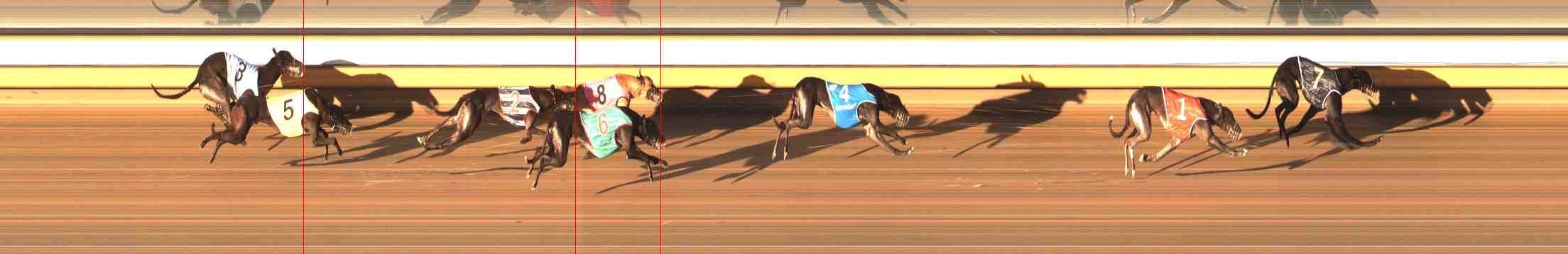 Photo finish for Warrnambool Race 4