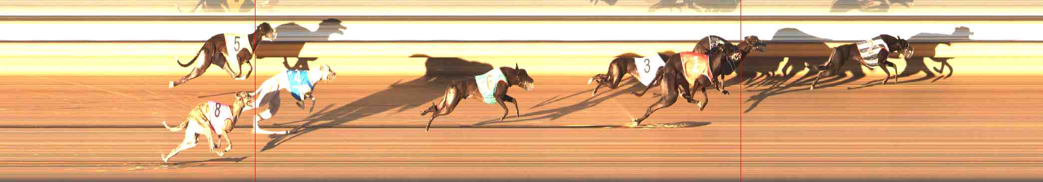 Photo finish for Warrnambool Race 5