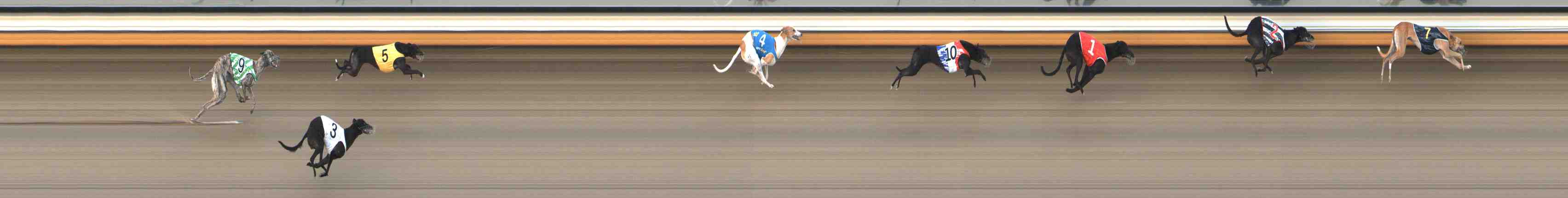 Photo finish for Warrnambool Race 7