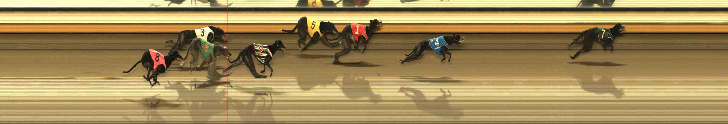 Photo finish for Warrnambool Race 9