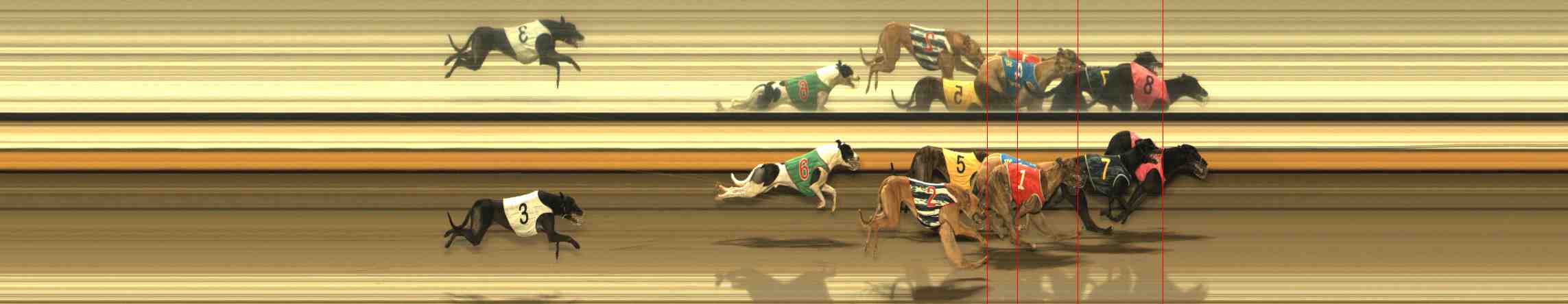 Photo finish for Warrnambool Race 10