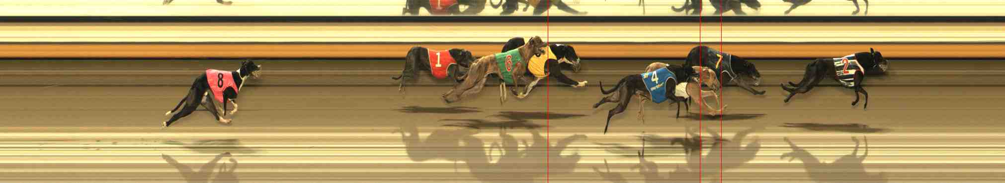 Photo finish for Warrnambool Race 11