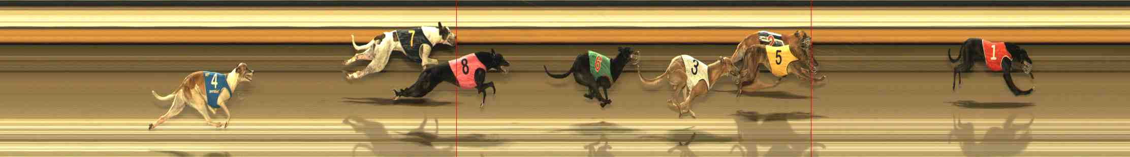 Photo finish for Warrnambool Race 12