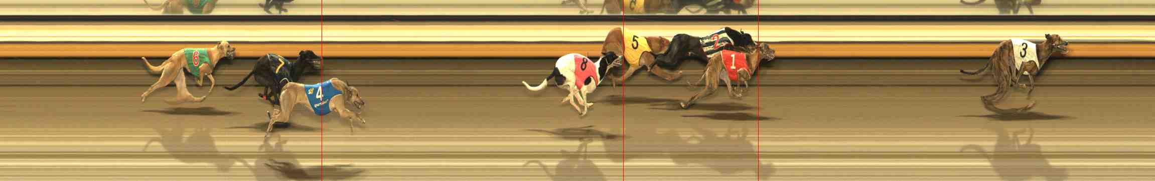 Photo finish for Warrnambool Race 13