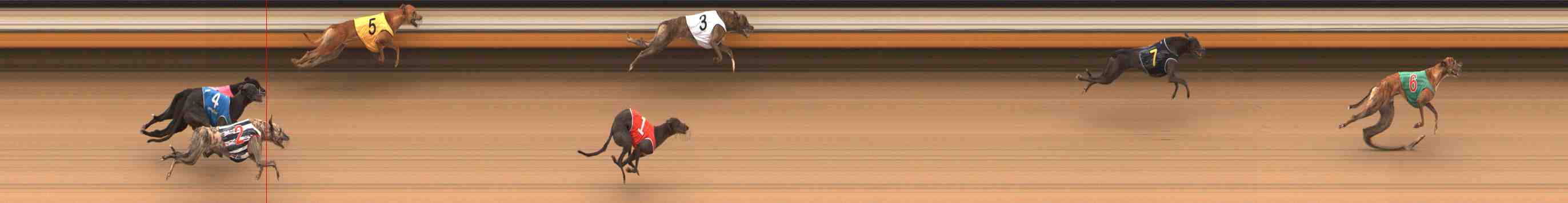 Photo finish for Warrnambool Race 1