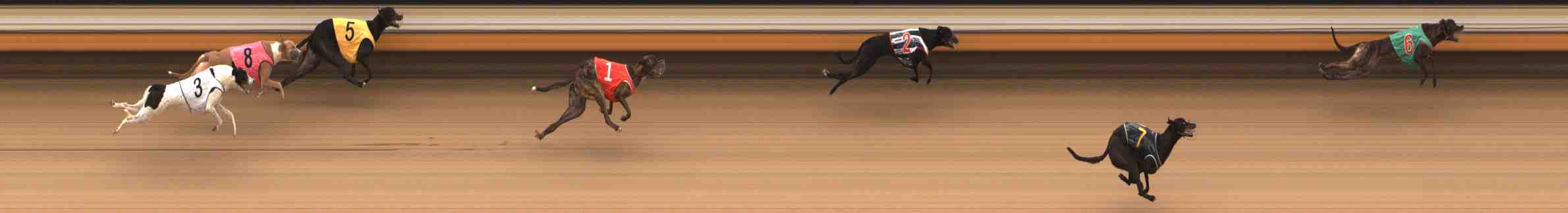 Photo finish for Warrnambool Race 2