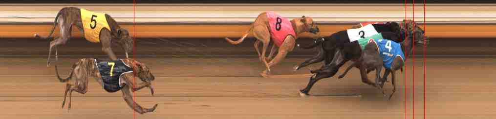 Photo finish for Warrnambool Race 3