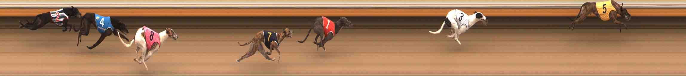 Photo finish for Warrnambool Race 4