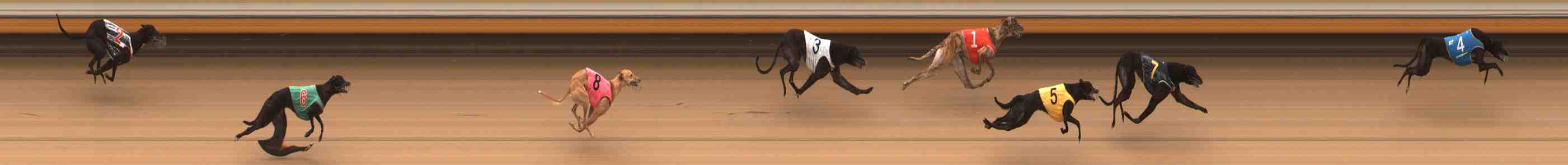 Photo finish for Warrnambool Race 5