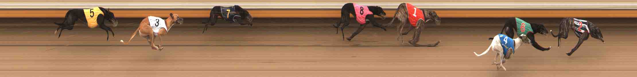 Photo finish for Warrnambool Race 6