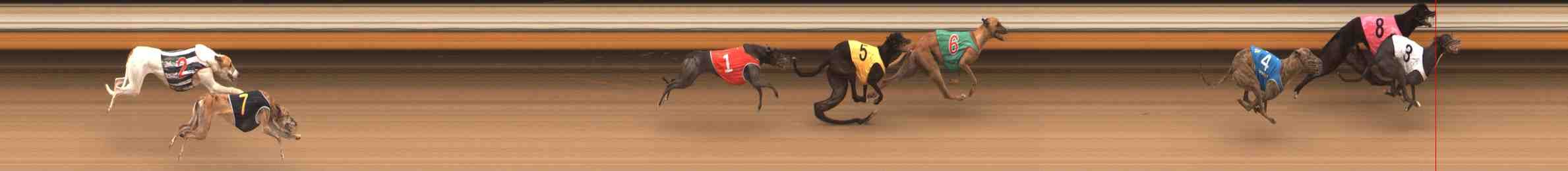 Photo finish for Warrnambool Race 7