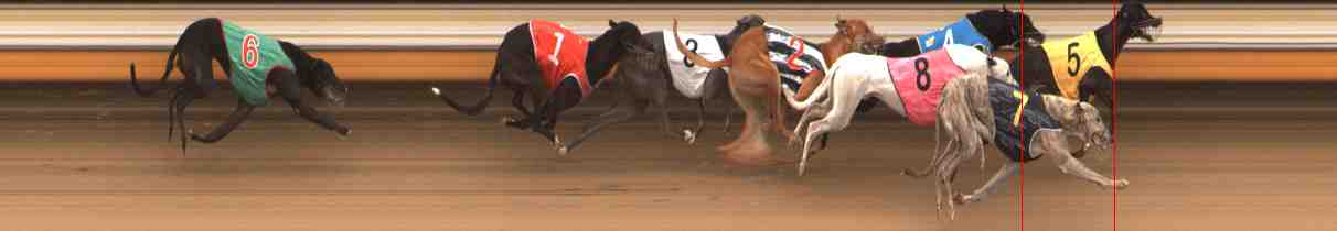 Photo finish for Warrnambool Race 8