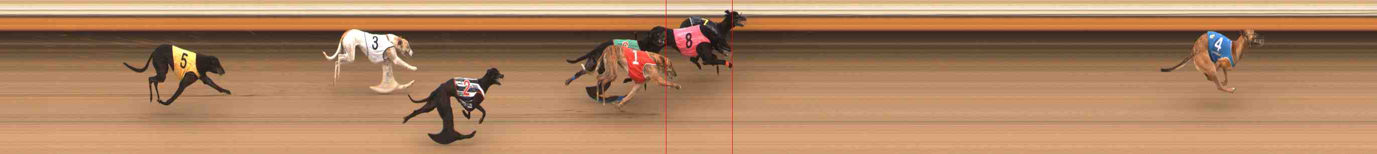 Photo finish for Warrnambool Race 9