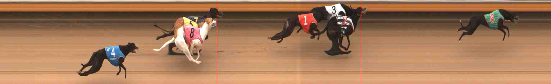 Photo finish for Warrnambool Race 10