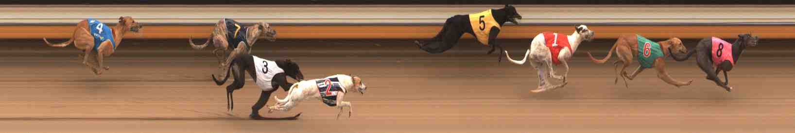 Photo finish for Warrnambool Race 11