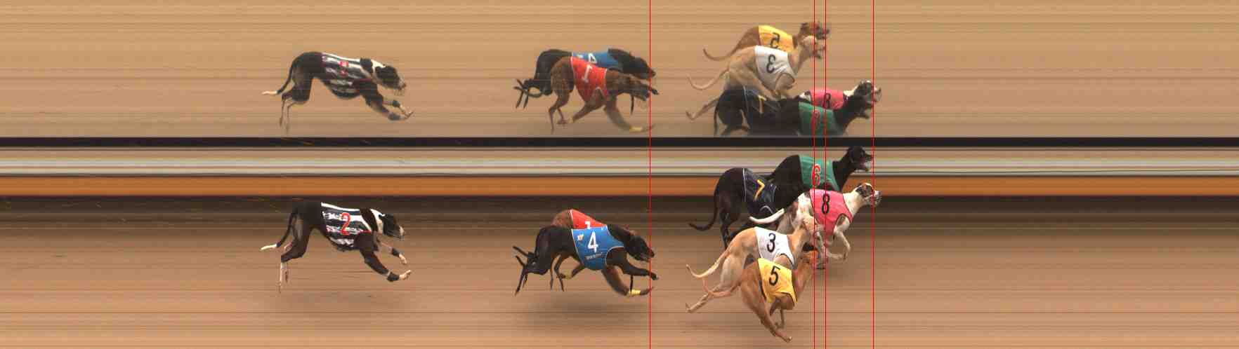 Photo finish for Warrnambool Race 12