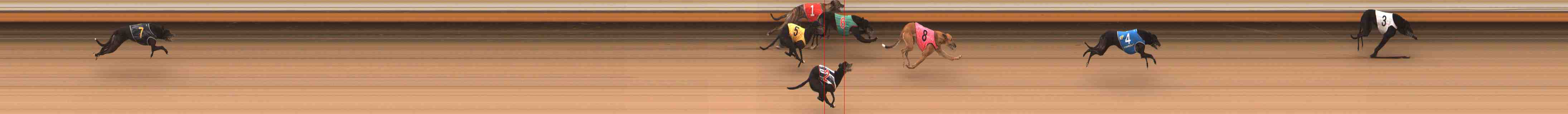 Photo finish for Warrnambool Race 13