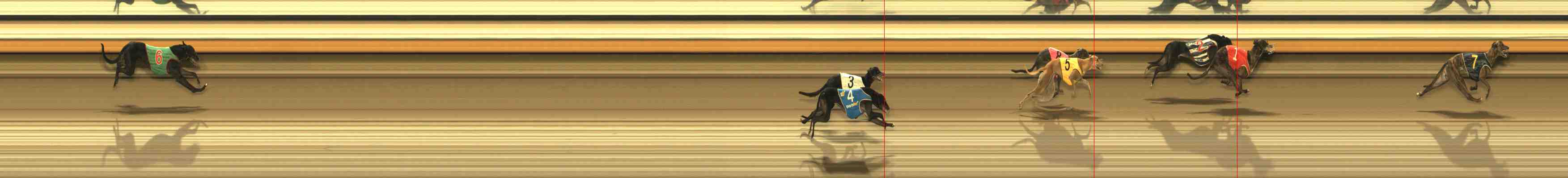 Photo finish for Warrnambool Race 13