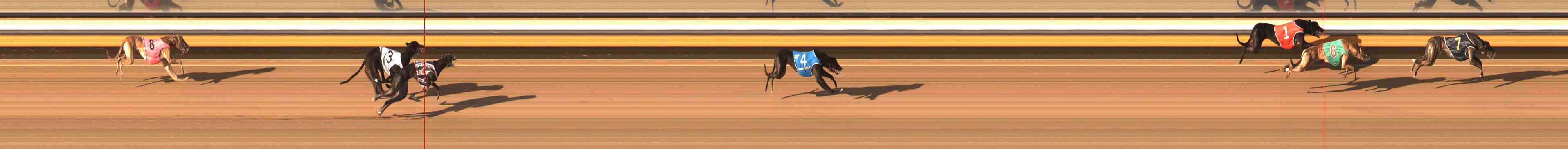 Photo finish for Warrnambool Race 1