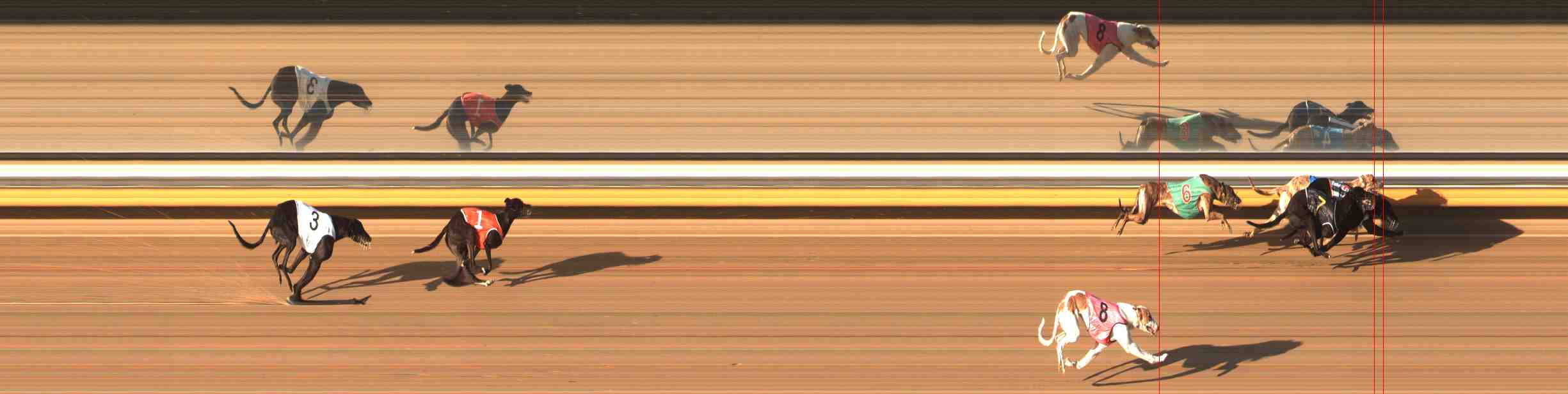 Photo finish for Warrnambool Race 2