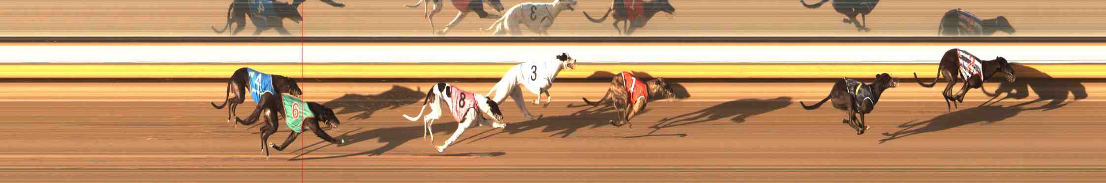 Photo finish for Warrnambool Race 3
