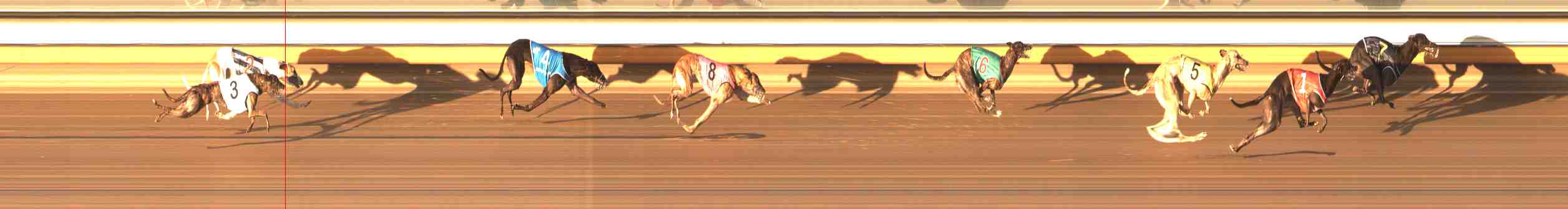 Photo finish for Warrnambool Race 4