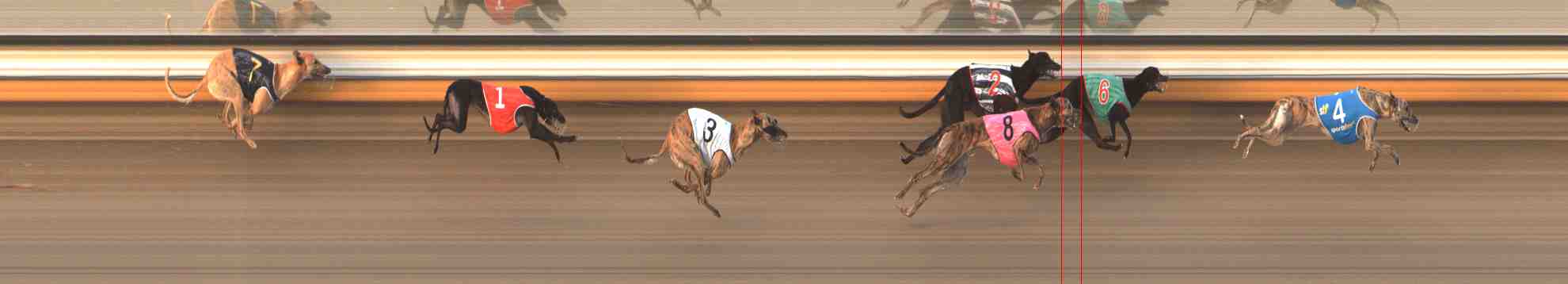 Photo finish for Warrnambool Race 5