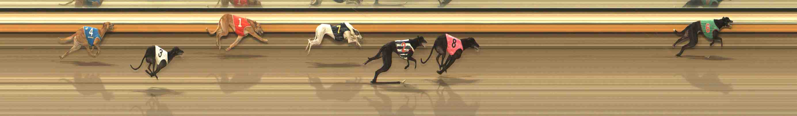Photo finish for Warrnambool Race 7
