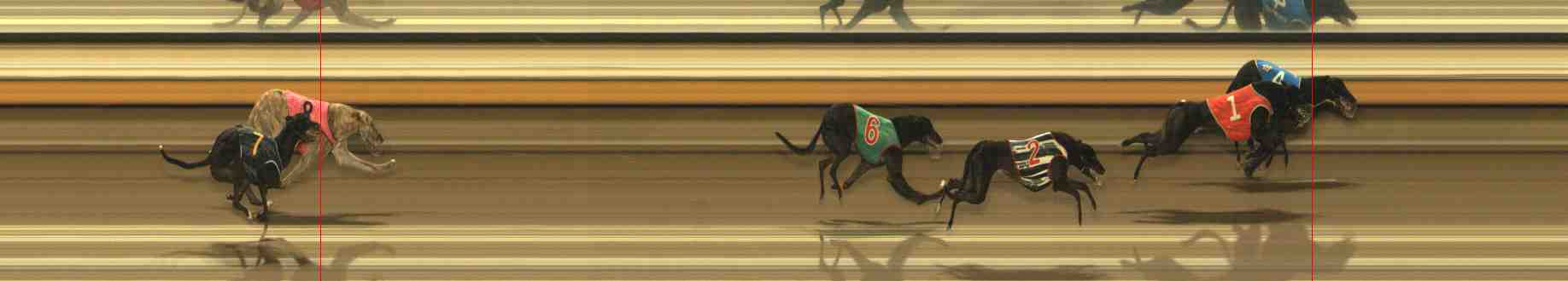 Photo finish for Warrnambool Race 8