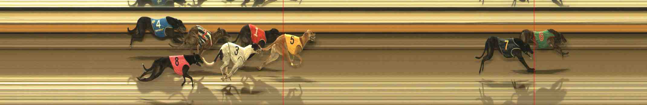 Photo finish for Warrnambool Race 9