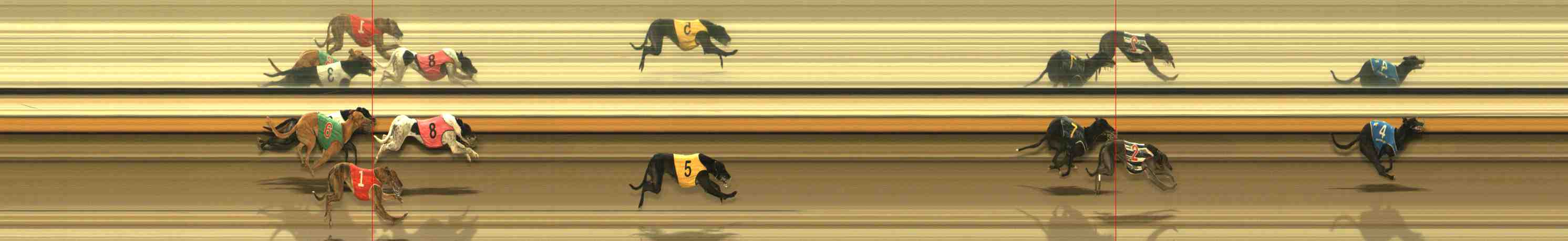 Photo finish for Warrnambool Race 10