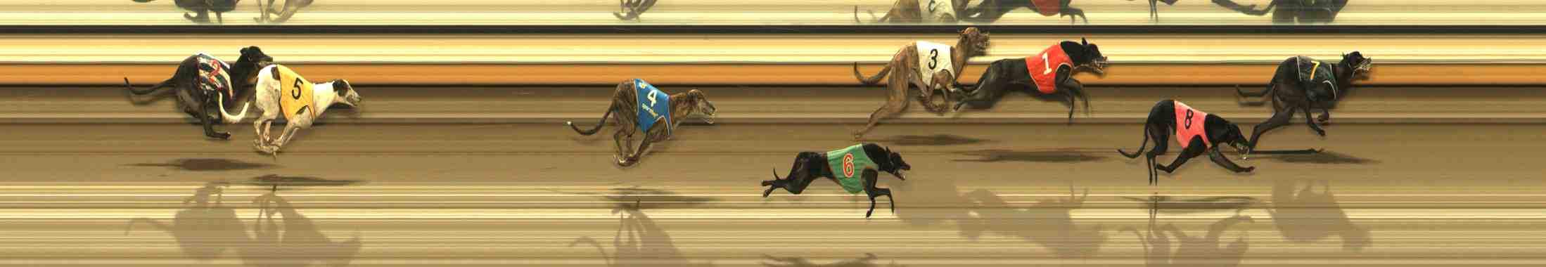 Photo finish for Warrnambool Race 11
