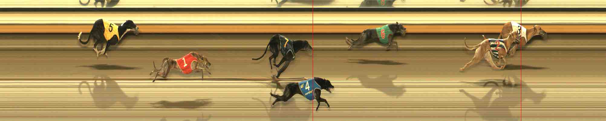 Photo finish for Warrnambool Race 12