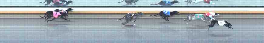 Photo finish for Warrnambool Race 6