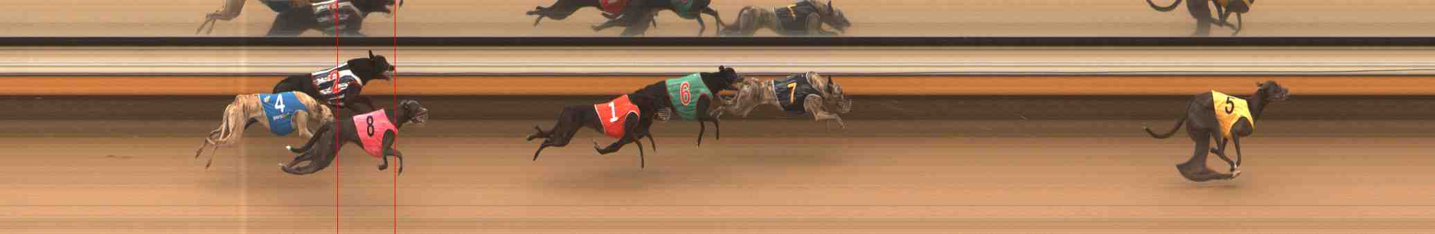 Photo finish for Warrnambool Race 1