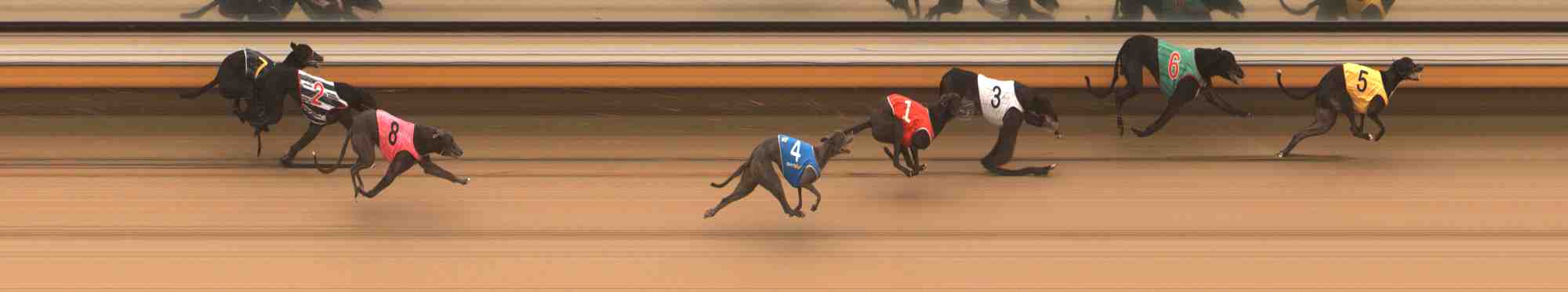 Photo finish for Warrnambool Race 2