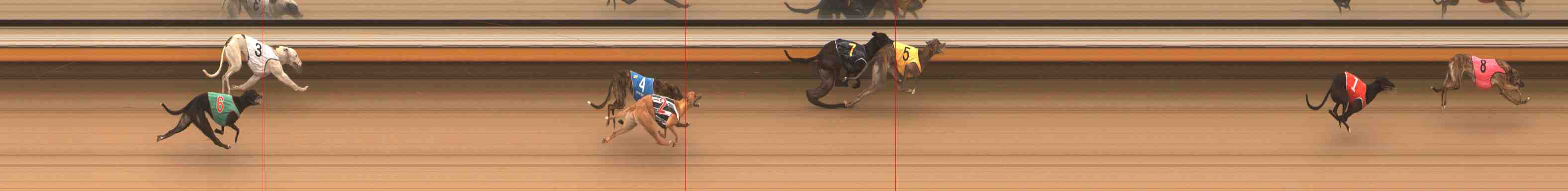 Photo finish for Warrnambool Race 3