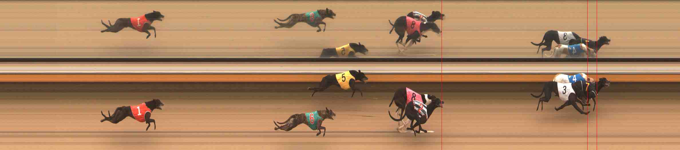 Photo finish for Warrnambool Race 4