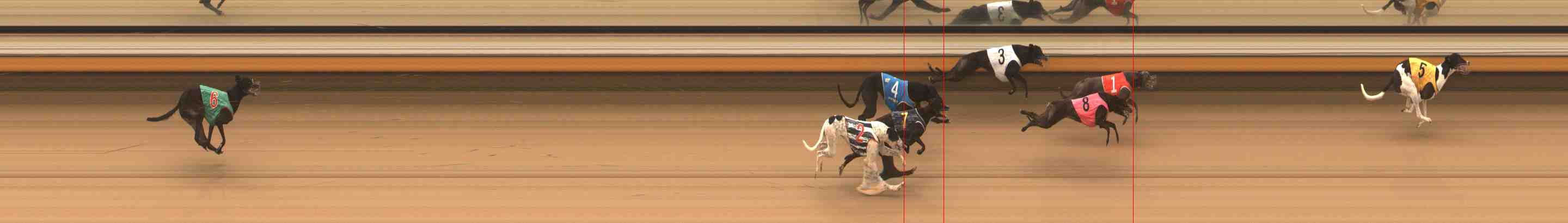 Photo finish for Warrnambool Race 5