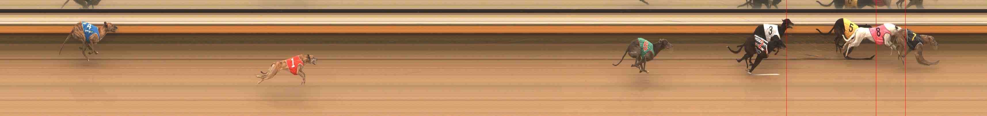 Photo finish for Warrnambool Race 6