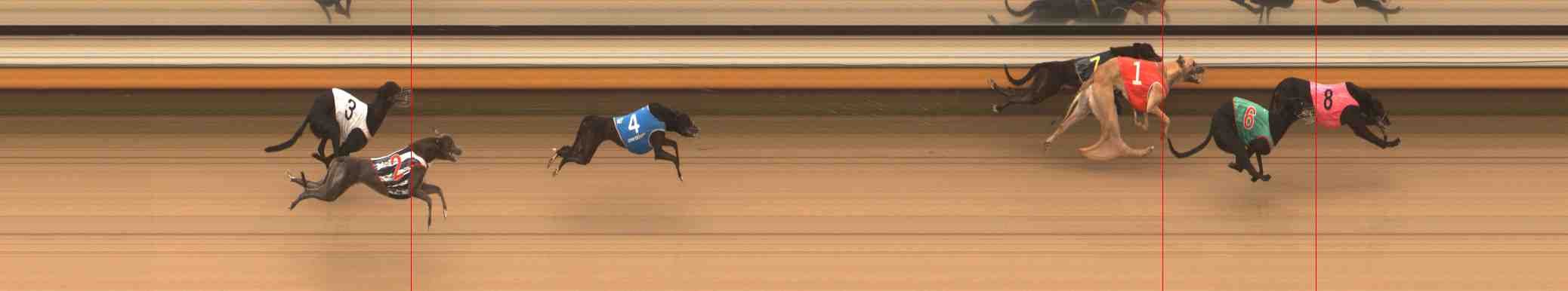 Photo finish for Warrnambool Race 7