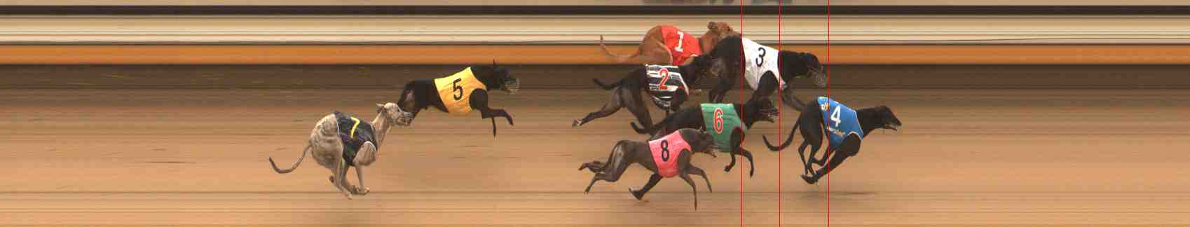 Photo finish for Warrnambool Race 8