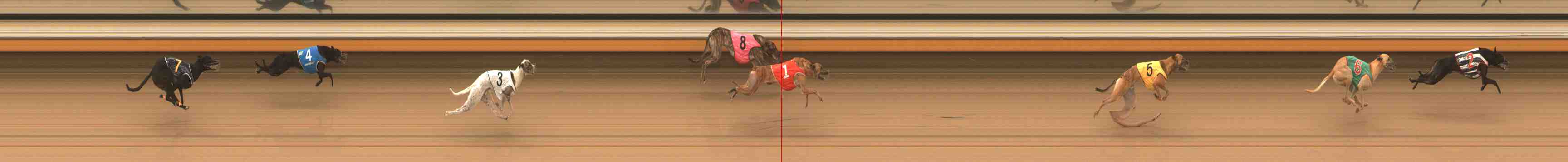Photo finish for Warrnambool Race 9