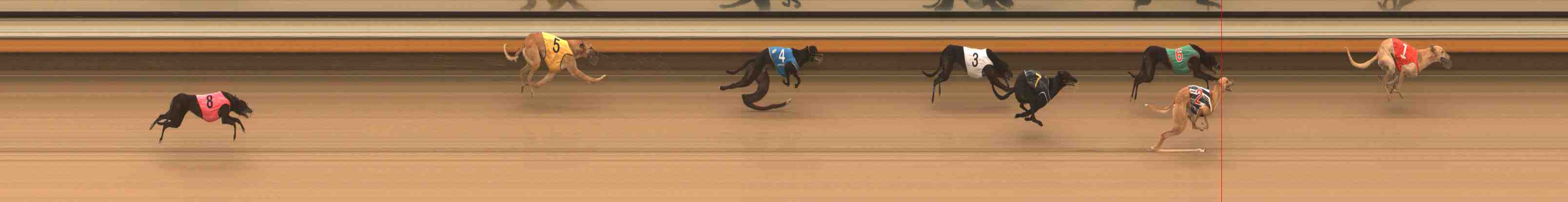Photo finish for Warrnambool Race 10