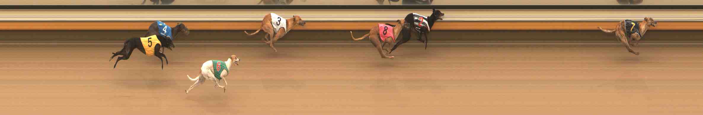 Photo finish for Warrnambool Race 11