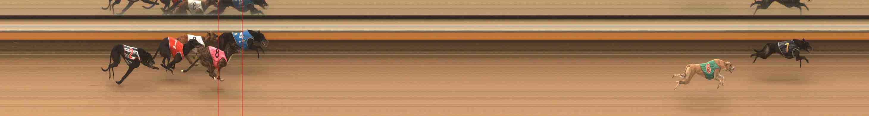Photo finish for Warrnambool Race 12