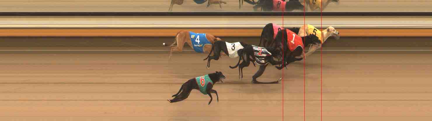 Photo finish for Warrnambool Race 13
